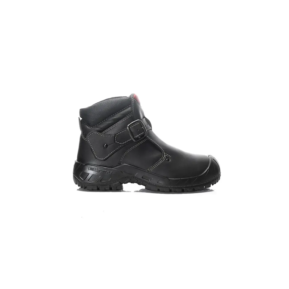 Carl II S3 Hi