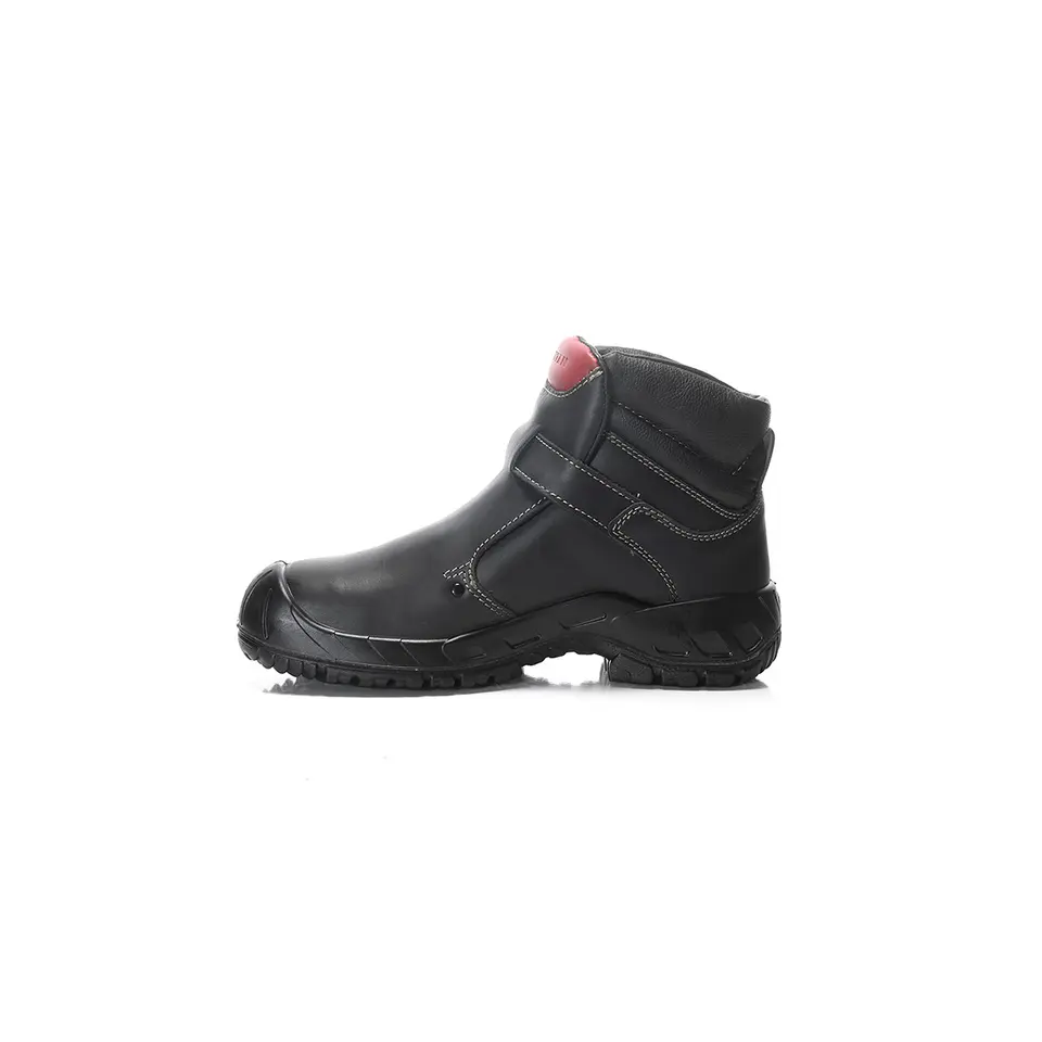 Carl II S3 Hi