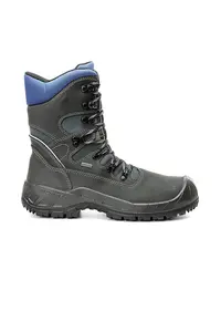 Joris Gtx S3 CI